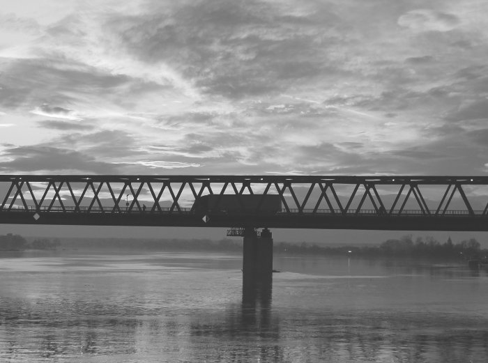 Sava, Slavonski Brod