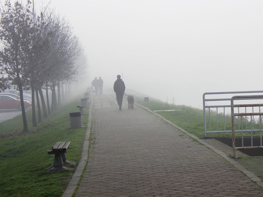 Magla, Sava, Slavonski Brod