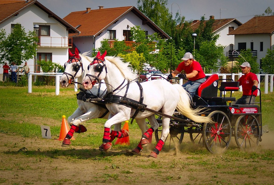 Medvidović, Slavonski Schumacher