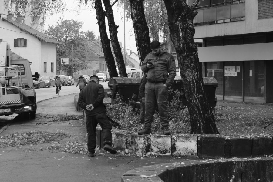 Radnici skupljaju lišće...