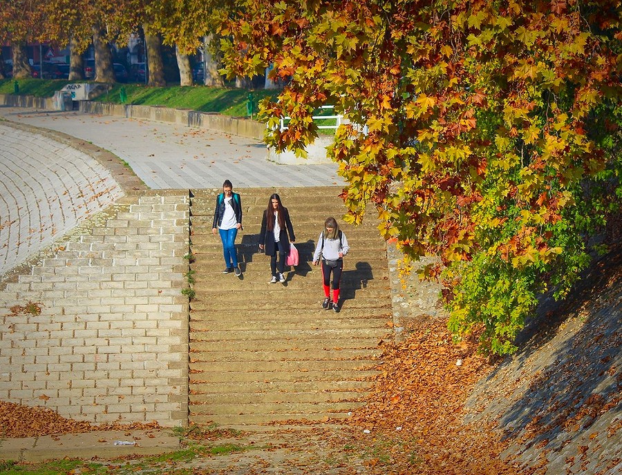 Trojka, jesen, šetnica kraj Save