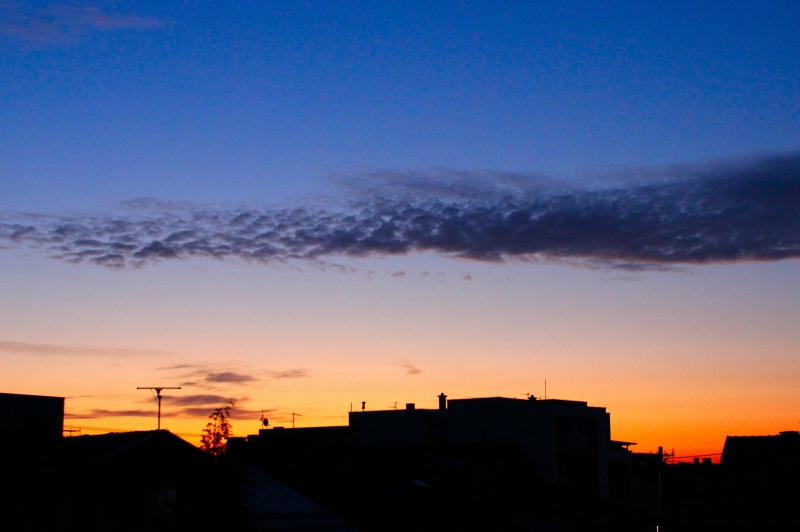 Jutro dana 28.8.2025.