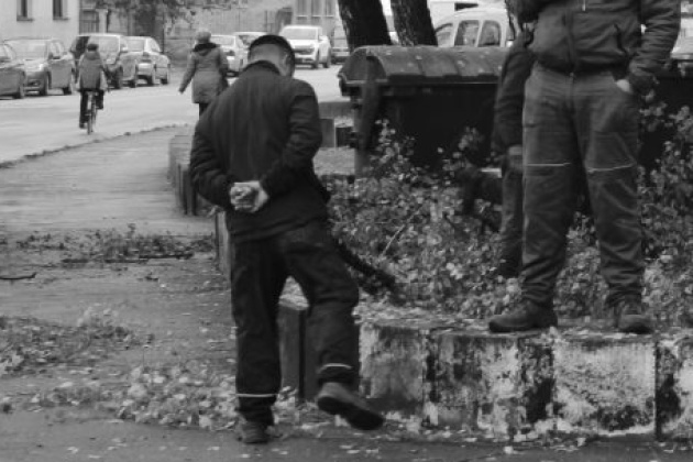 Radnici skupljaju lišće