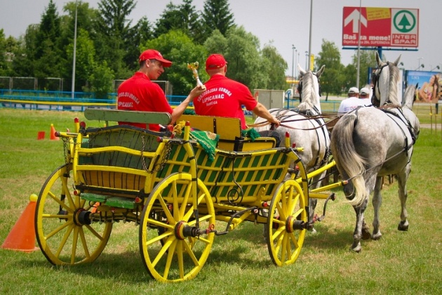 Trka zaprega