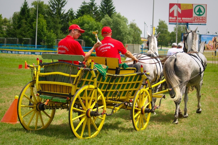 Trka zaprega