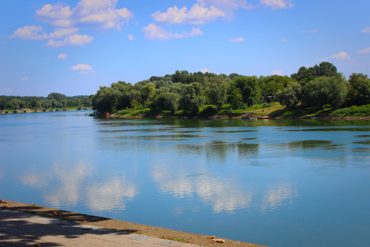 Proljeće, Sava